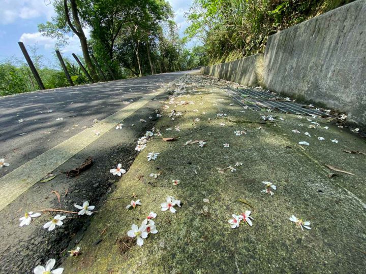 Cycling with Velodash